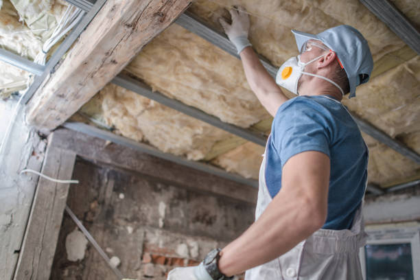 Best Energy-efficient Insulation  in Henryetta, OK