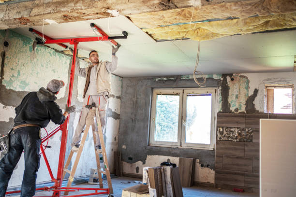 Best Insulation Removal  in Henryetta, OK