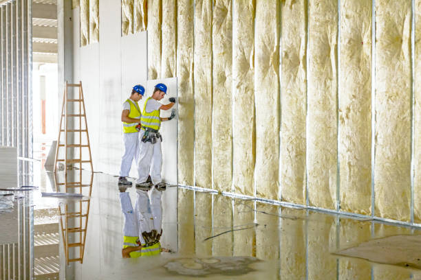 Best Insulation Contractors for Homes  in Henryetta, OK